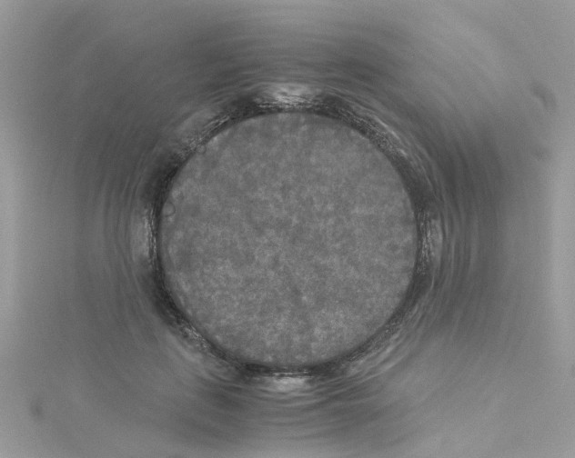 X0000114110651200911161119