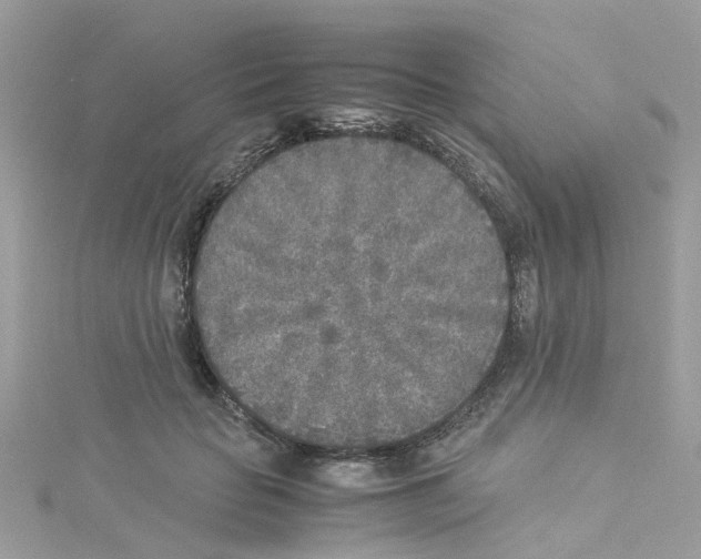 X0000114110653200911161119