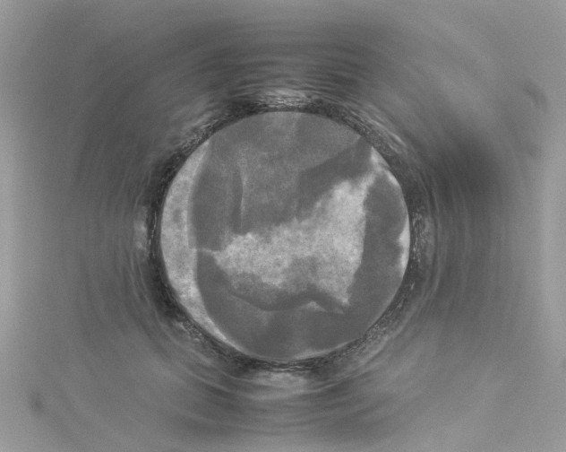 X0000114110655200911161119