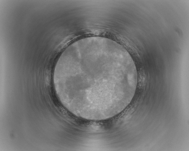 X0000114110656200911161119