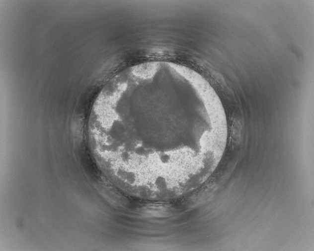 X0000114110659200911161120