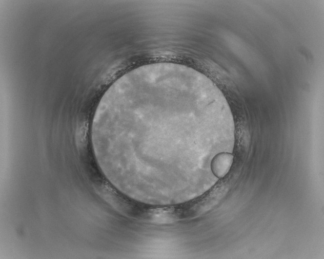 X0000114110660200911161120