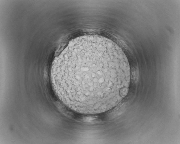 X0000114110662200911161120