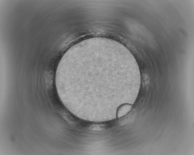 X0000114110664200911161120