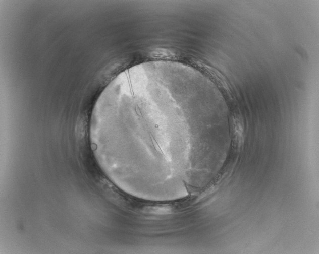 X0000114110665200911161120