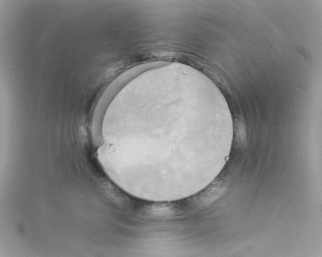 X0000114110668200911161120