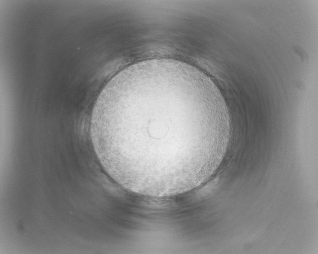 X0000114110672200911161120