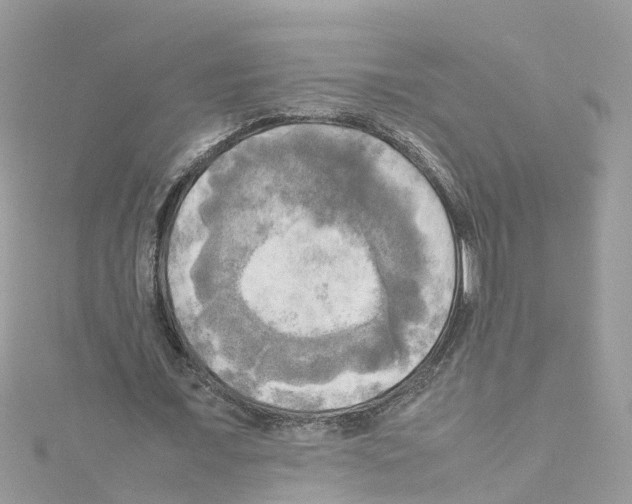 X0000114110675200911161119