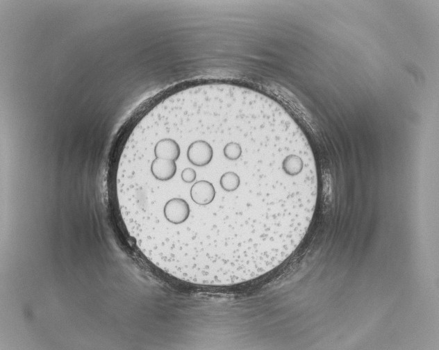 X0000114110676200911161119