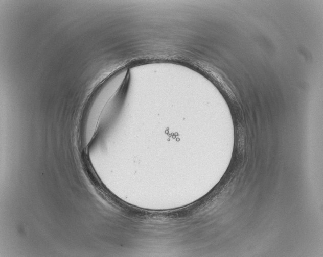 X0000114110677200911161119