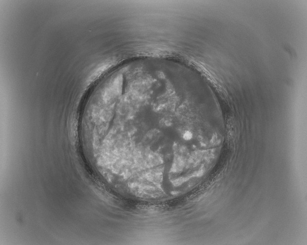 X0000114110679200911161119