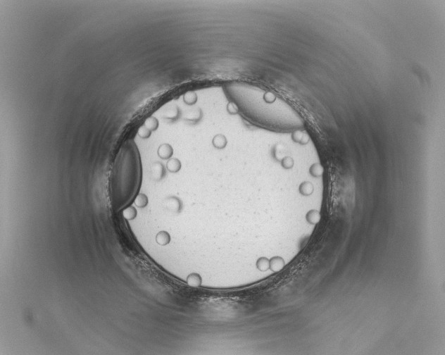 X0000114110680200911161119