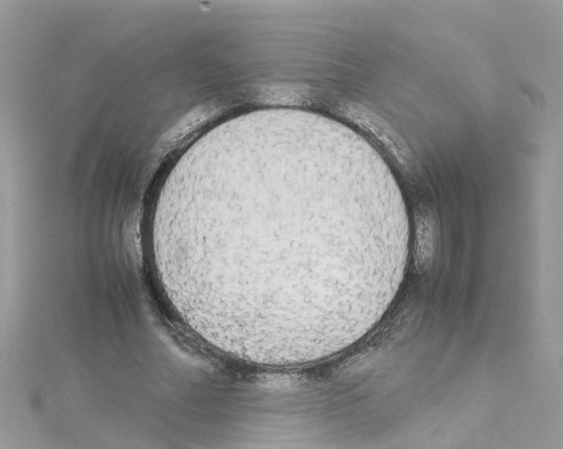 X0000114110682200911161119