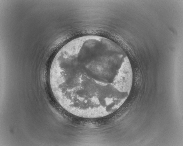 X0000114110683200911161119