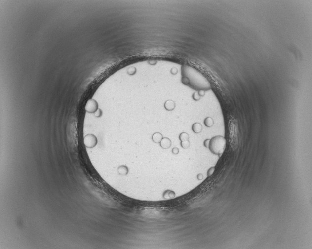 X0000114110684200911161119