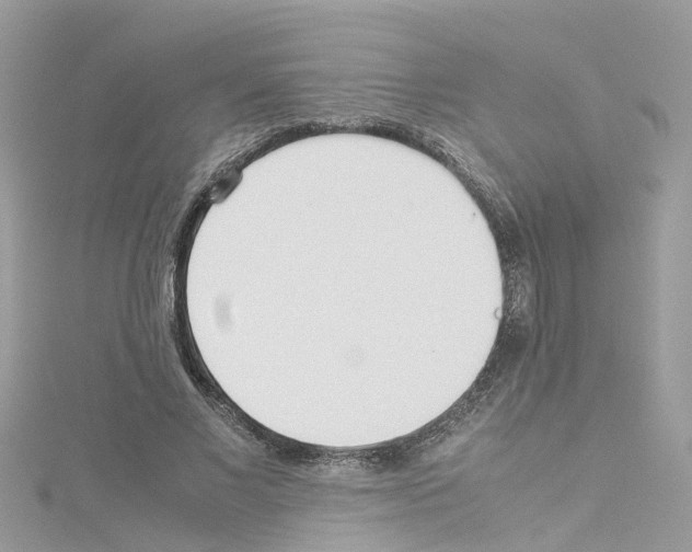 X0000114110685200911161119