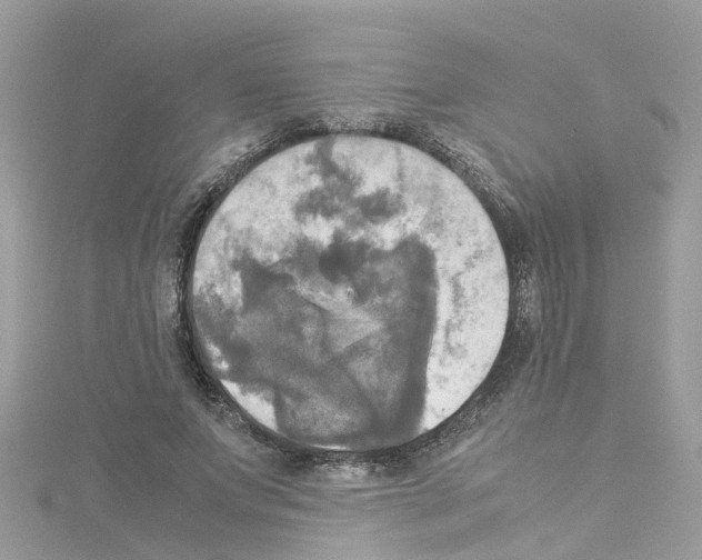 X0000114110687200911161119