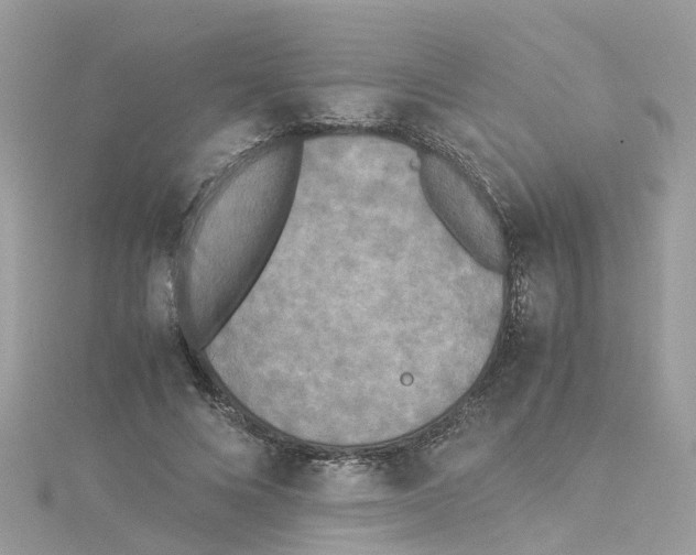 X0000114110688200911161119