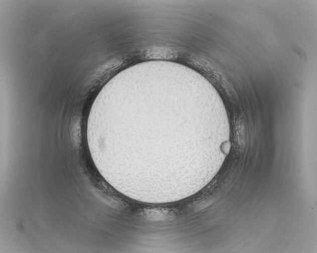 X0000114110690200911161119