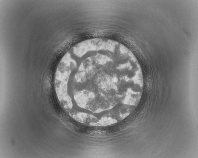 X0000114110691200911161119