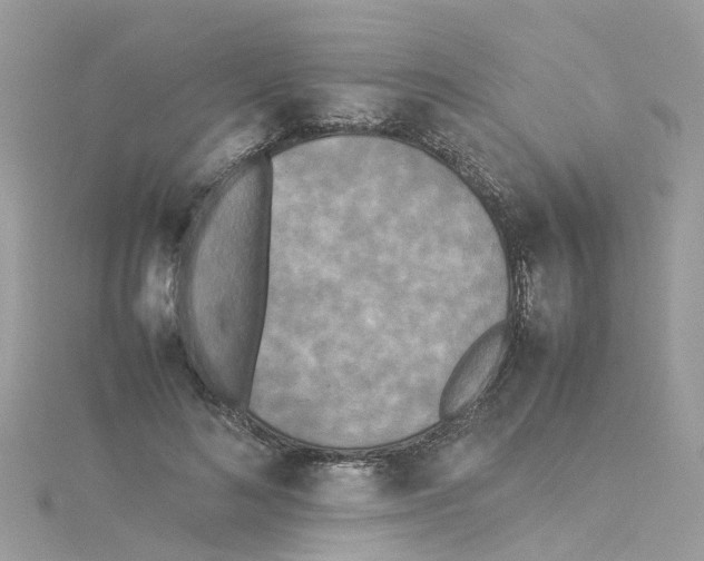 X0000114110692200911161119