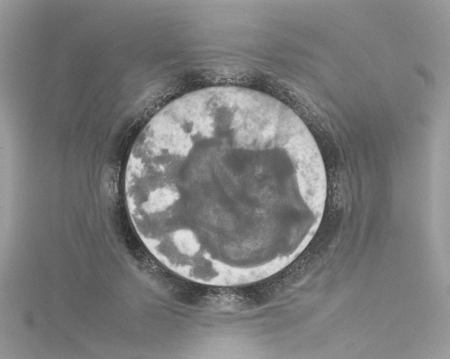 X0000114110695200911161119