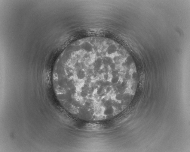 X0000114110699200911161119