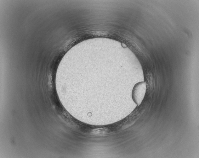 X0000114110700200911161119