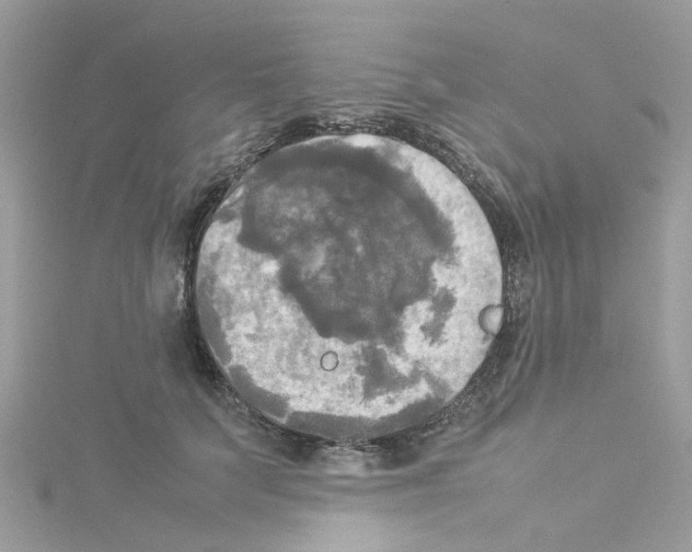 X0000114110703200911161119