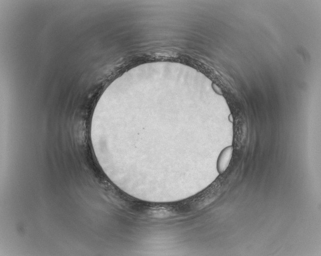 X0000114110704200911161119