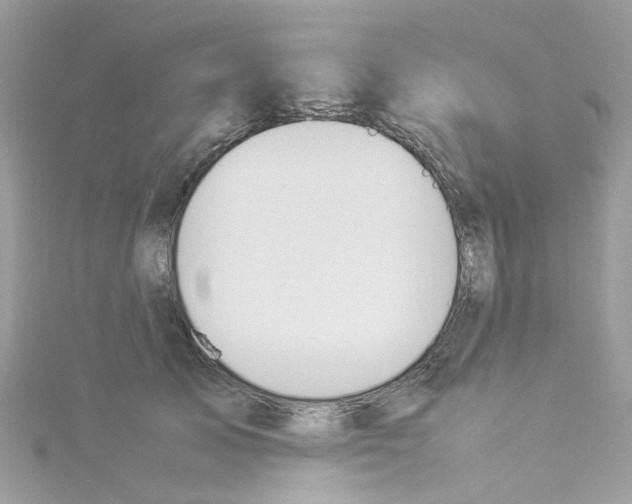 X0000114110705200911161119