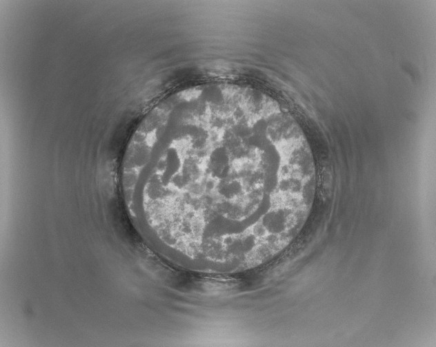 X0000114110707200911161119