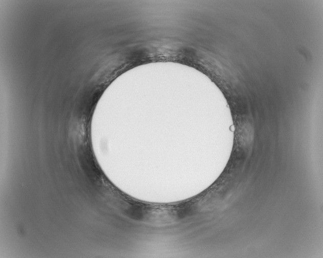 X0000114110709200911161119