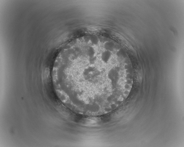 X0000114110711200911161119