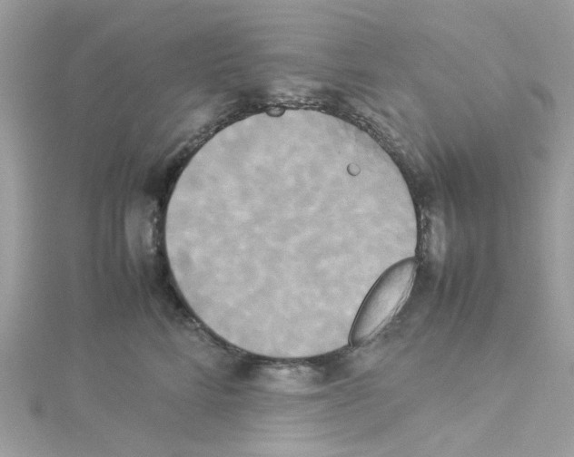 X0000114110712200911161119