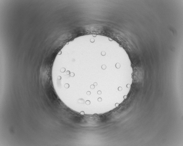 X0000114110713200911161119