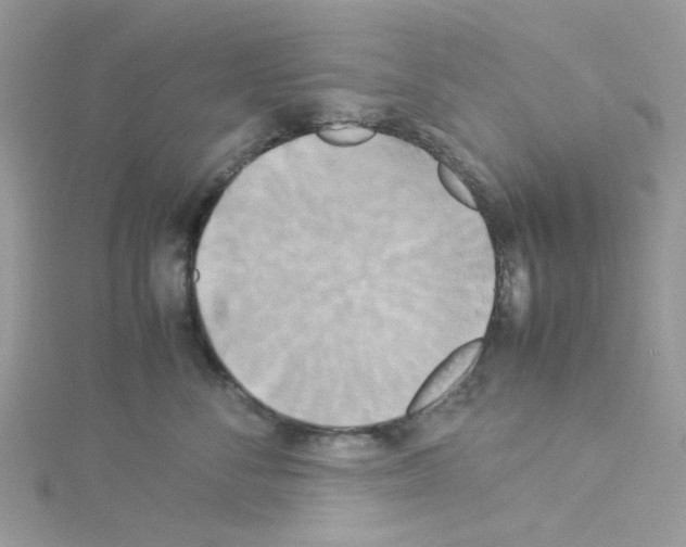 X0000114110716200911161119