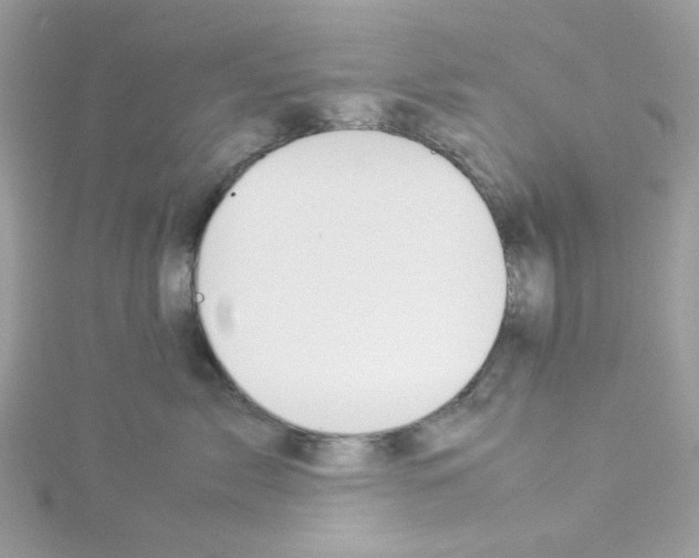 X0000114110717200911161119