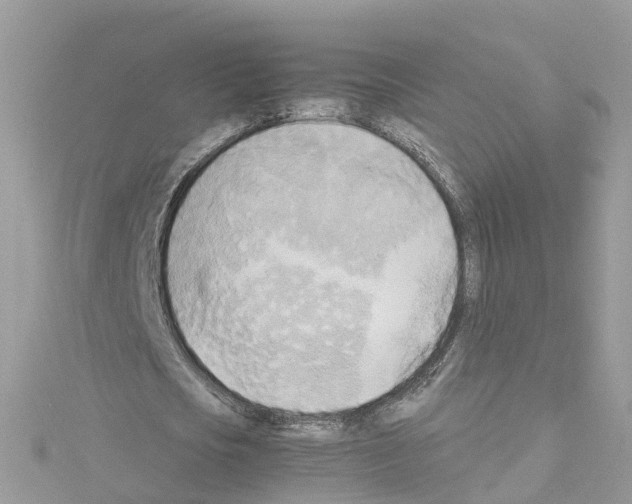 X0000114110721200911161118