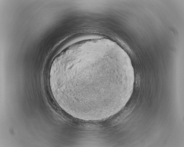 X0000114110722200911161118