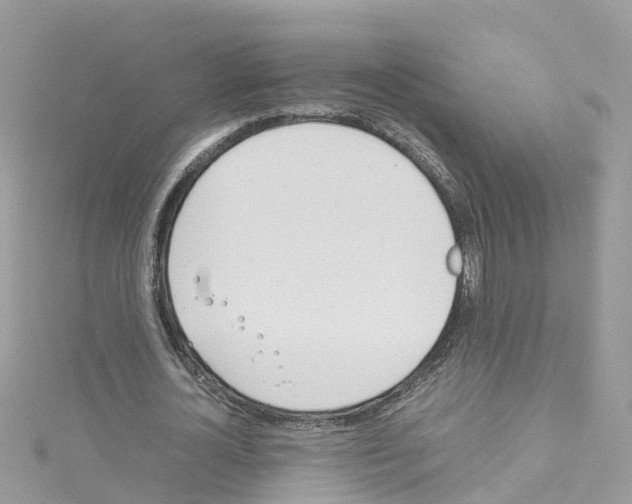 X0000114110724200911161118