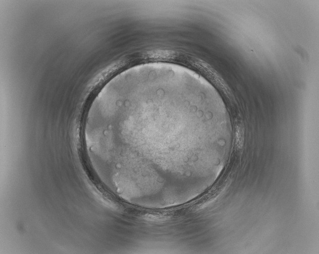 X0000114110725200911161118