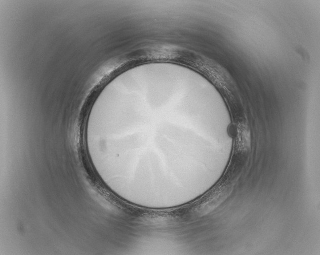 X0000114110726200911161118