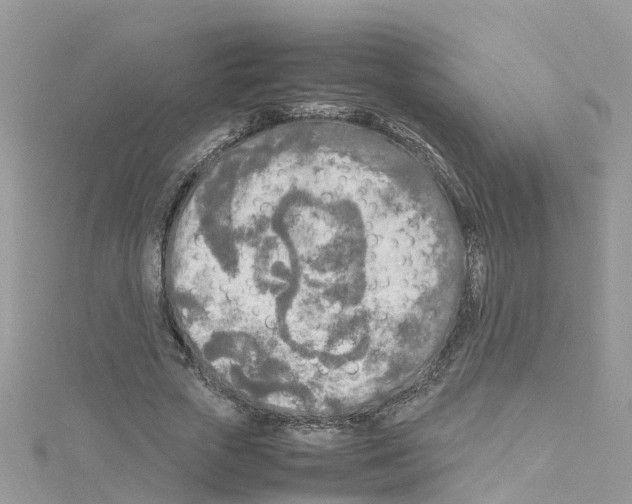 X0000114110729200911161118