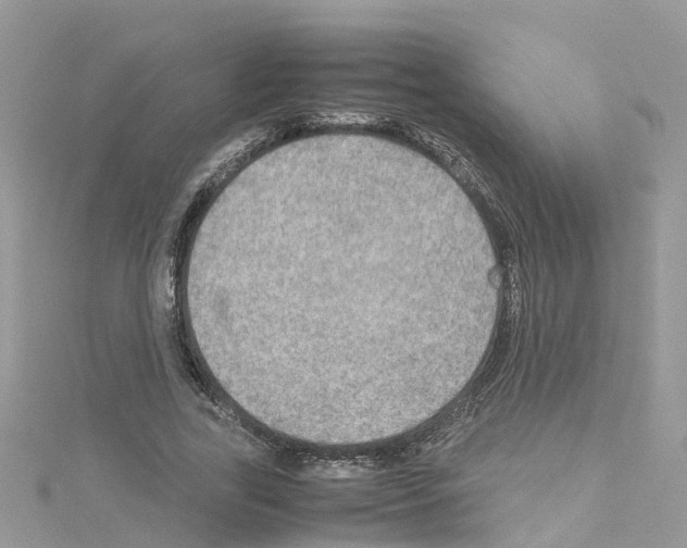 X0000114110731200911161118