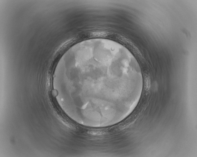 X0000114110733200911161118