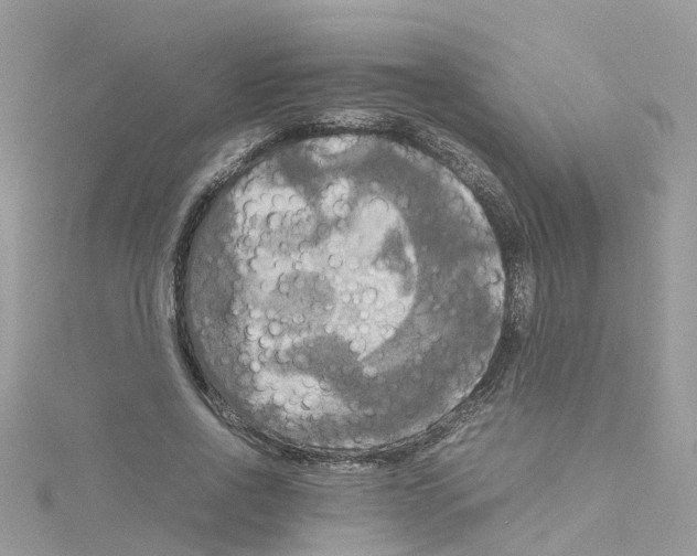 X0000114110734200911161118