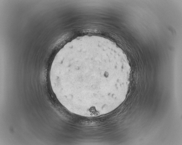 X0000114110735200911161118