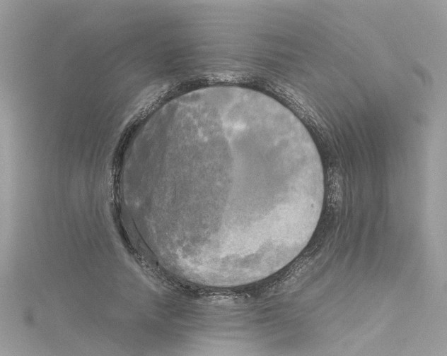 X0000114110738200911161118