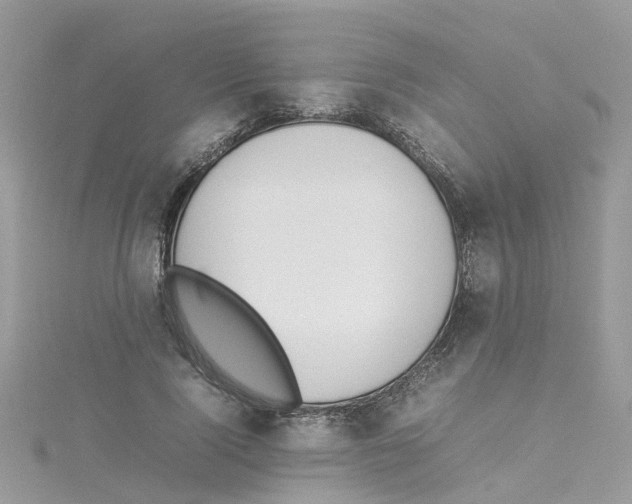 X0000114110740200911161118